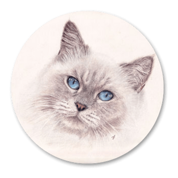 médaillon représentant un chat aux yeux bleus