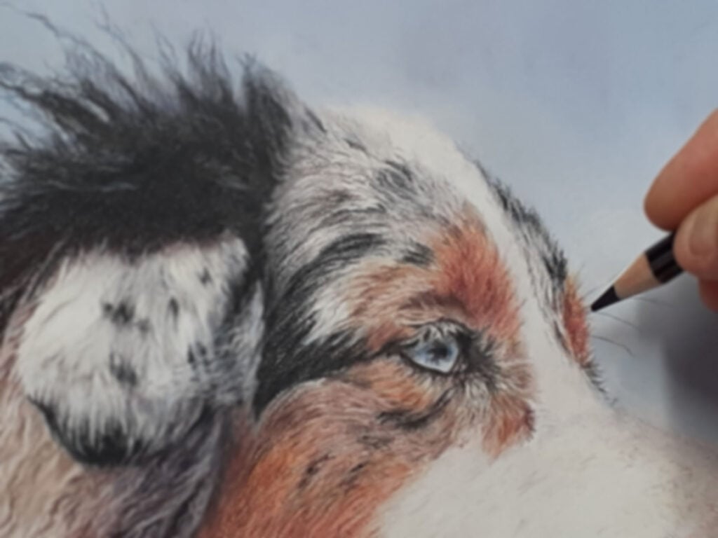 gros plan sur la main et le crayon de l'artiste en train de peaufiner un portrait