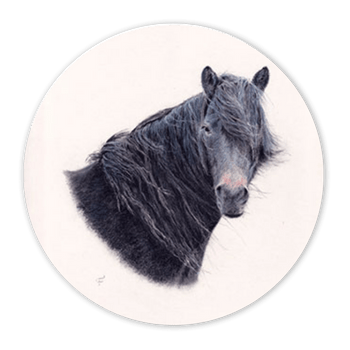 médaillon représentant un cheval noir